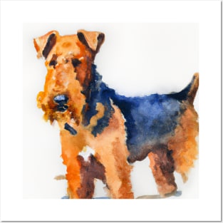 Welsh Terrier Watercolor - Dog Lovers Posters and Art